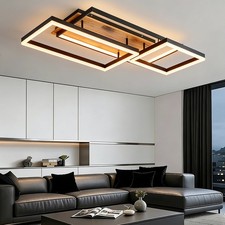 Ceiling Light Indoor Lighting