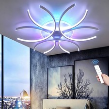 Modern LED Ceiling Light